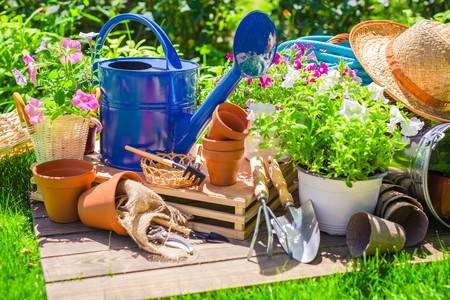 Save Money Gardening